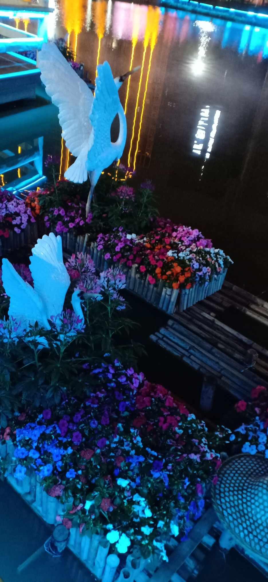 芥末提高记忆力